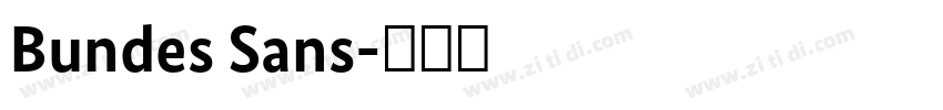 Bundes Sans字体转换 Bundes Sans字体转换